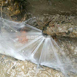 后湖管理区消防管道漏水检测